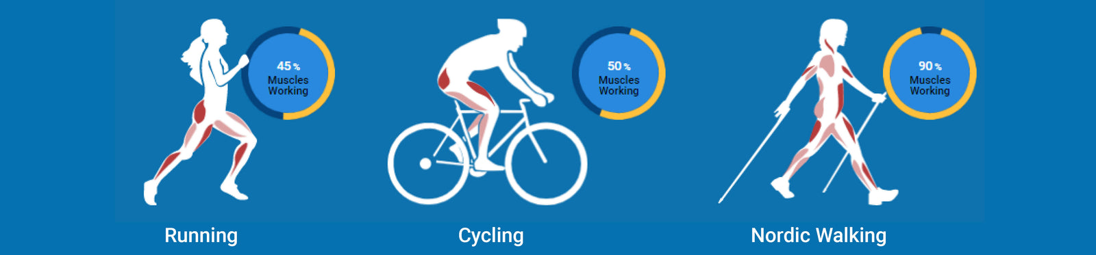 Capital Nordic Walking banner 1