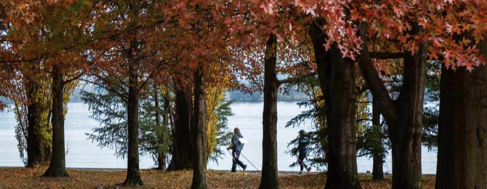 Capital Nordic Walking Slider 5